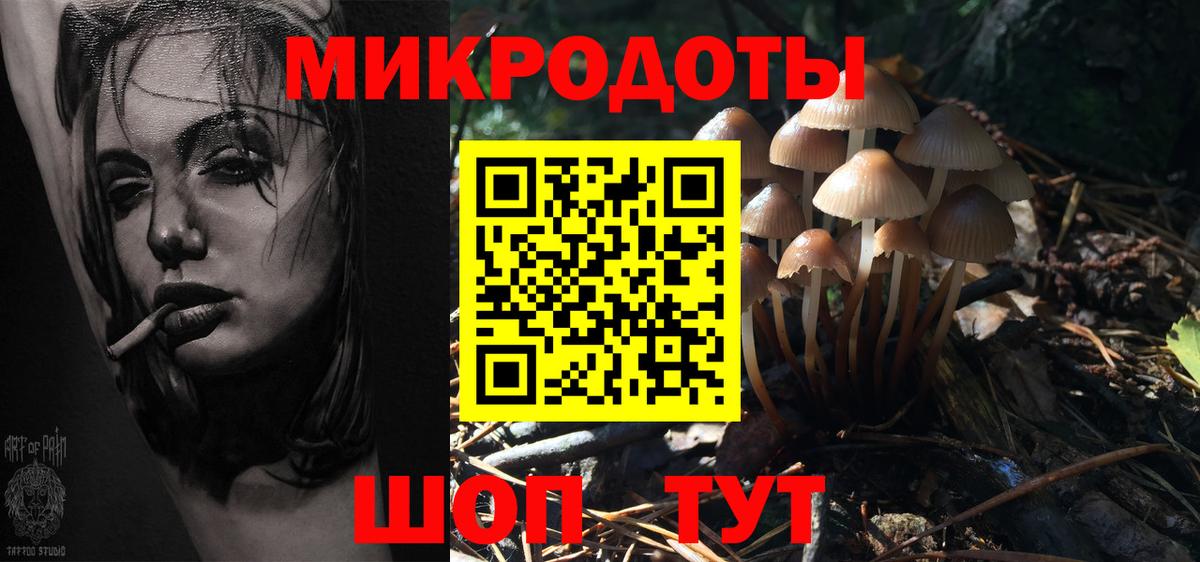 Псилоцибиновые грибы Psilocybe Минеральные Воды