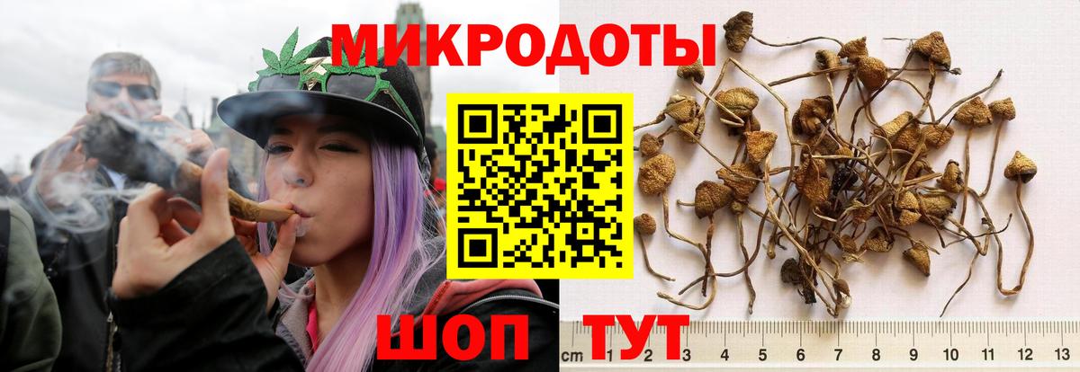Минеральные Воды  Галлюциногенные грибы прущие грибы  Псилоцибиновые грибы Psilocybine cubensis  Вход с VPN 